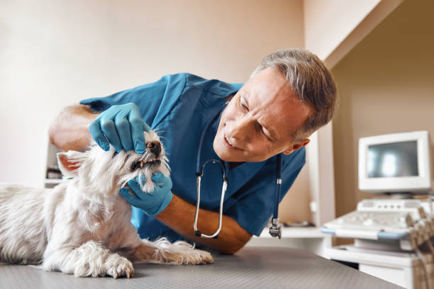 Best Same-Day Emergency Dentist in Copeland, OK